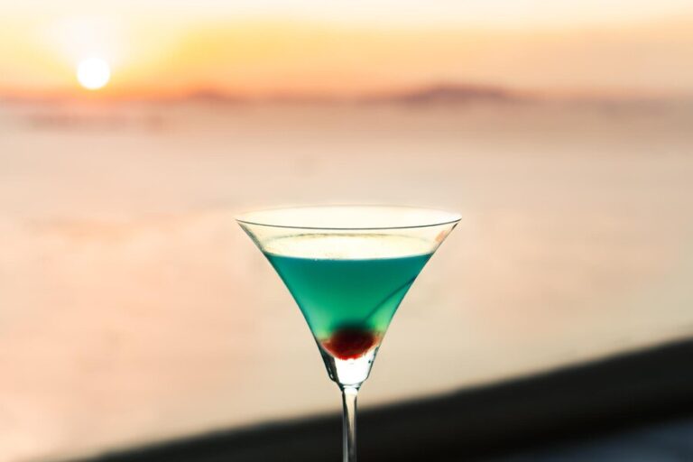 bevtest top gins 2024