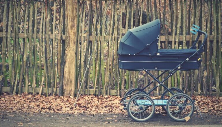 british baby buggies nyt