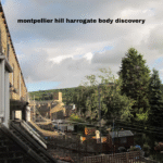 montpellier hill harrogate body discovery