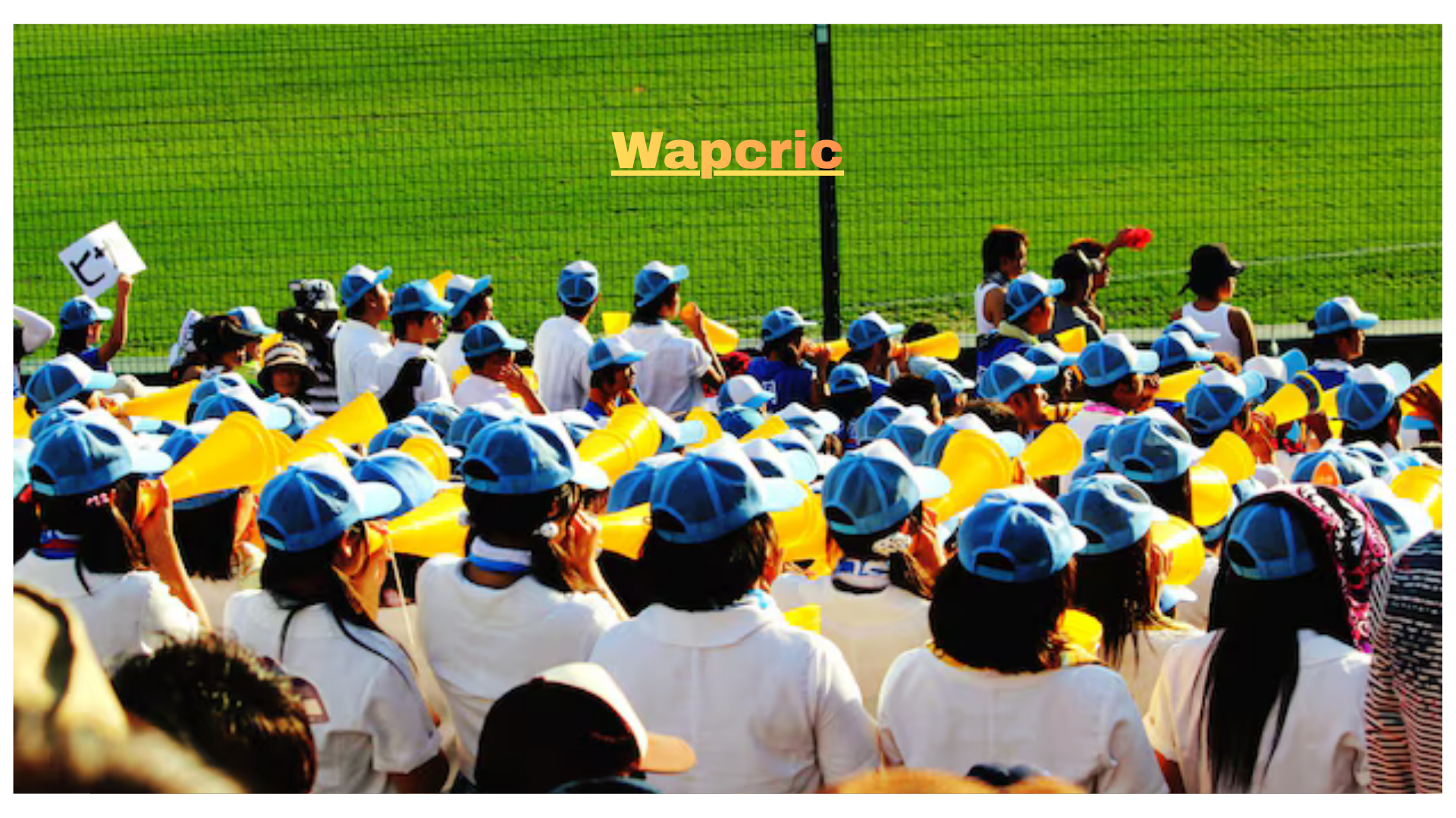 Wapcric