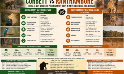 compare corbett and ranthambore for a 5 day wildlife photography trip in november on a 50k budget