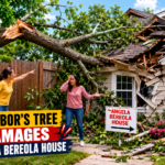 https://favoritemagazine.co.uk/2025/12/05/911-caddo-parish/